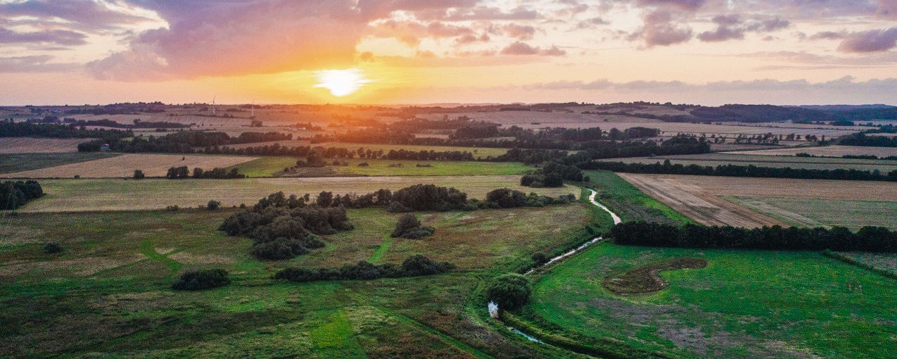 Åmosen Vestsjælland