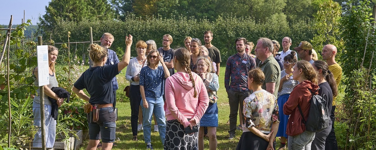 Efteruddannelse gymnasielærere