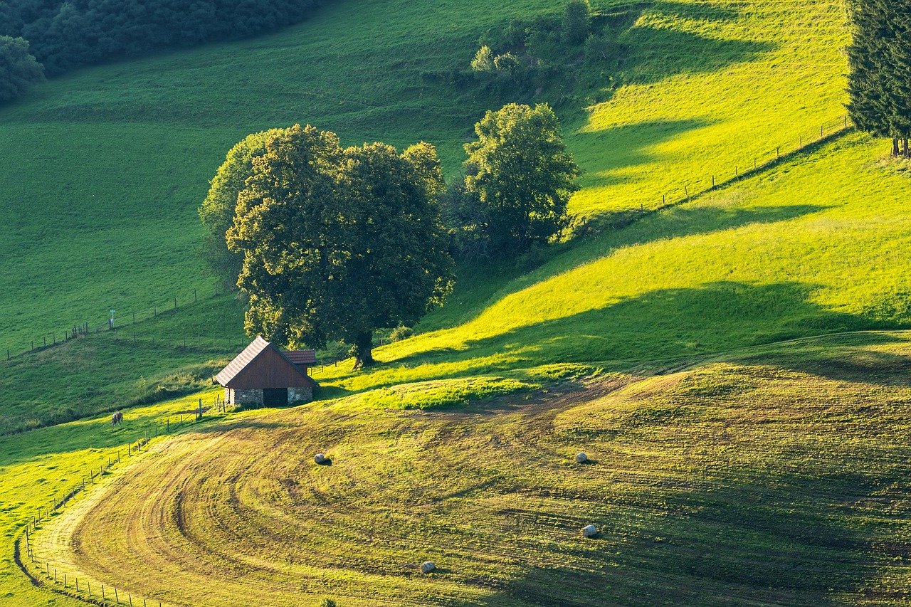 Landscape Landscape