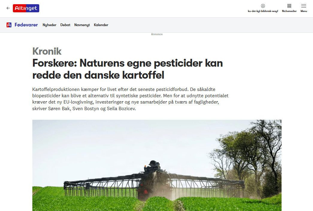 Altinget kronik