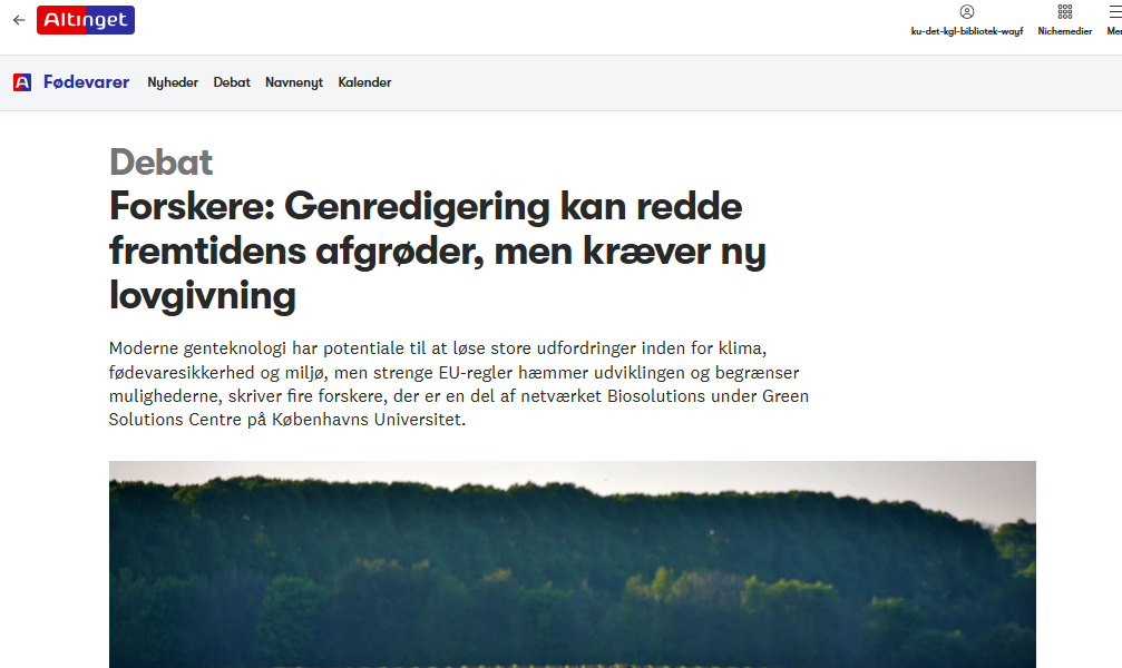 Altinget kronik