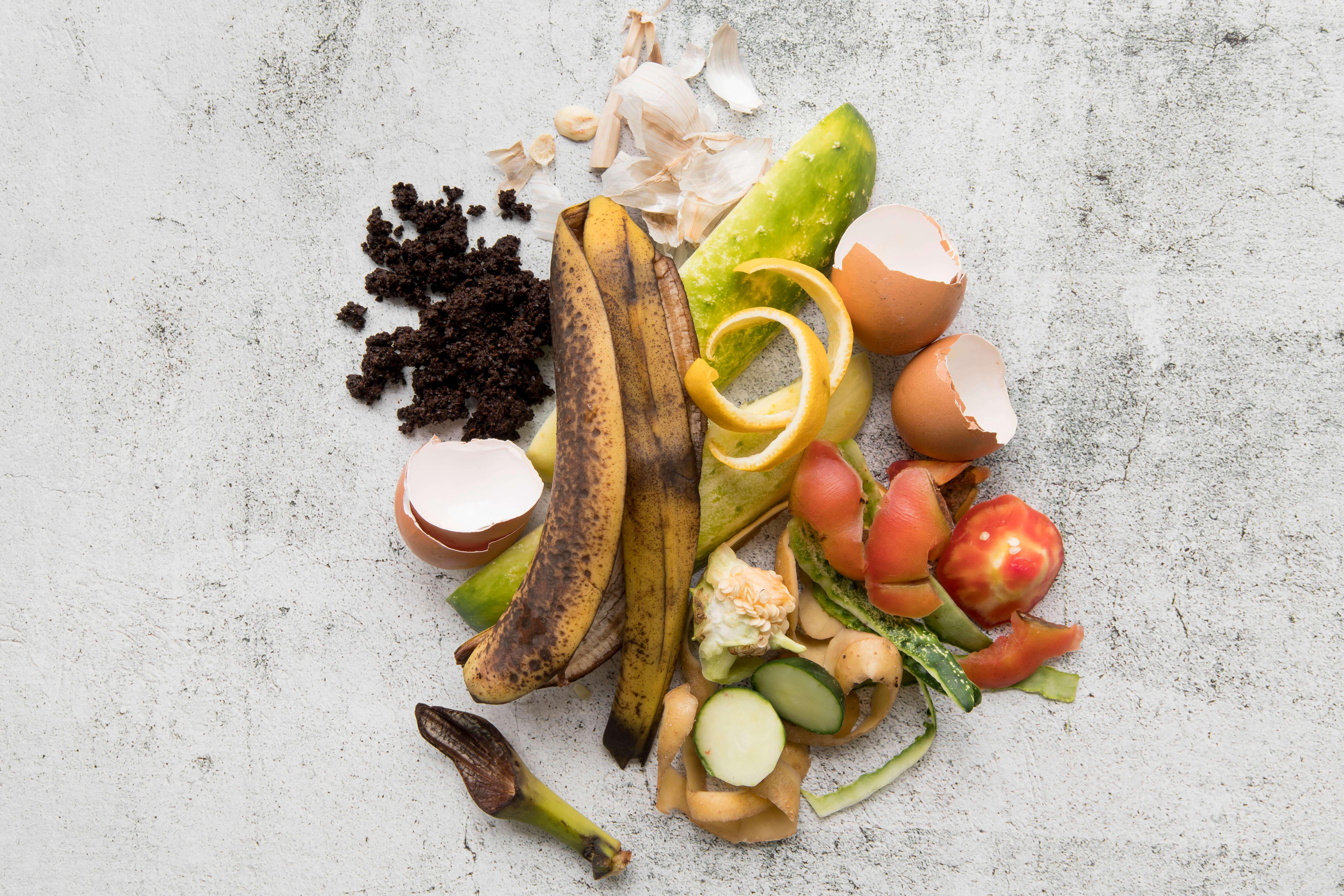 Picture of food waste Picture of food waste