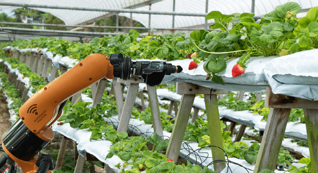 Robot doing farming